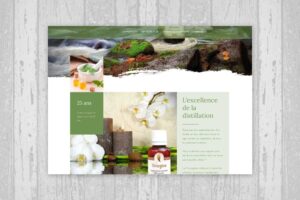 Micro site web de présentation et de vente