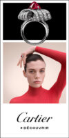 Cartier banniere web