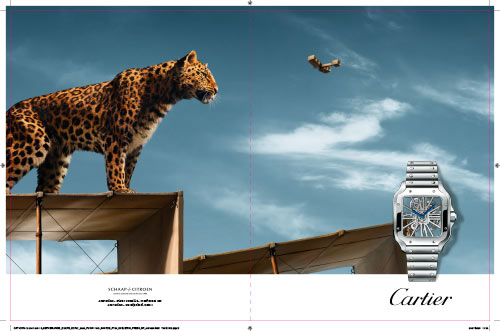 Cartier DP Netherland