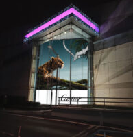 Cartier Istambul - 9m