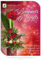 Newsletter Cadeaux pour les fêtes