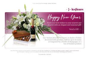 Newsletter Nouvel AN