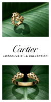 Cartier banniere Panther